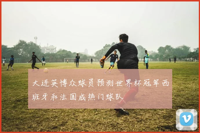 大连英博众球员预测世界杯冠军西班牙和法国成热门球队